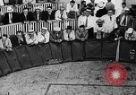 Standbild cockfighting Guaynabo Puerto Rico, 1935, aus Sekunde 14 historischem Filmmaterial Videoclip 65675052095