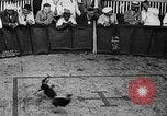 Standbild cockfighting Guaynabo Puerto Rico, 1935, aus Sekunde 17 historischem Filmmaterial Videoclip 65675052095