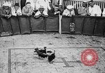 Standbild cockfighting Guaynabo Puerto Rico, 1935, aus Sekunde 24 historischem Filmmaterial Videoclip 65675052095