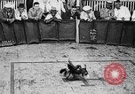 Standbild cockfighting Guaynabo Puerto Rico, 1935, aus Sekunde 25 historischem Filmmaterial Videoclip 65675052095