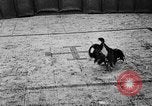 Standbild cockfighting Guaynabo Puerto Rico, 1935, aus Sekunde 30 historischem Filmmaterial Videoclip 65675052095