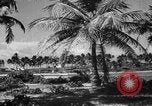 Standbild Universität von Puerto Rico Gebäude San Juan Puerto Rico, 1935, aus Sekunde 40 historischem Filmmaterial Videoclip 65675052097