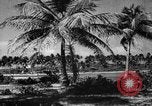 Standbild Universität von Puerto Rico Gebäude San Juan Puerto Rico, 1935, aus Sekunde 44 historischem Filmmaterial Videoclip 65675052097