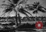 Standbild Universität von Puerto Rico Gebäude San Juan Puerto Rico, 1935, aus Sekunde 45 historischem Filmmaterial Videoclip 65675052097