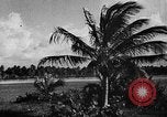 Standbild Universität von Puerto Rico Gebäude San Juan Puerto Rico, 1935, aus Sekunde 58 historischem Filmmaterial Videoclip 65675052097