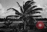 Standbild Universität von Puerto Rico Gebäude San Juan Puerto Rico, 1935, aus Sekunde 60 historischem Filmmaterial Videoclip 65675052097