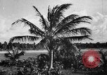 Standbild Universität von Puerto Rico Gebäude San Juan Puerto Rico, 1935, aus Sekunde 61 historischem Filmmaterial Videoclip 65675052097