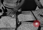 Image of workers San Juan Puerto Rico, 1935, second 13 stock footage video 65675052102