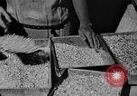 Image of workers San Juan Puerto Rico, 1935, second 14 stock footage video 65675052102