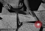 Image of workers San Juan Puerto Rico, 1935, second 15 stock footage video 65675052102