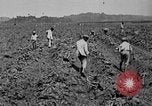 Image of workers San Juan Puerto Rico, 1935, second 16 stock footage video 65675052102