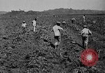 Image of workers San Juan Puerto Rico, 1935, second 17 stock footage video 65675052102