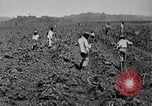 Image of workers San Juan Puerto Rico, 1935, second 18 stock footage video 65675052102