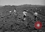 Image of workers San Juan Puerto Rico, 1935, second 19 stock footage video 65675052102