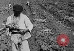 Image of workers San Juan Puerto Rico, 1935, second 21 stock footage video 65675052102