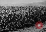Image of workers San Juan Puerto Rico, 1935, second 25 stock footage video 65675052102