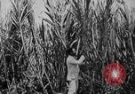 Image of workers San Juan Puerto Rico, 1935, second 32 stock footage video 65675052102