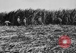 Image of workers San Juan Puerto Rico, 1935, second 35 stock footage video 65675052102