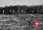 Image of workers San Juan Puerto Rico, 1935, second 36 stock footage video 65675052102