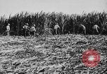 Image of workers San Juan Puerto Rico, 1935, second 37 stock footage video 65675052102