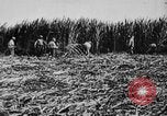 Image of workers San Juan Puerto Rico, 1935, second 38 stock footage video 65675052102