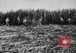 Image of workers San Juan Puerto Rico, 1935, second 39 stock footage video 65675052102