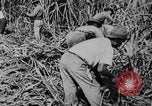 Image of workers San Juan Puerto Rico, 1935, second 44 stock footage video 65675052102