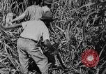 Image of workers San Juan Puerto Rico, 1935, second 46 stock footage video 65675052102