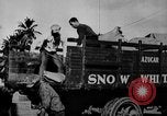 Image of workers San Juan Puerto Rico, 1935, second 60 stock footage video 65675052102