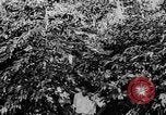 Standbild Fahrbahn und Dam San Juan Puerto Rico, 1935, aus Sekunde 62 historischem Filmmaterial Videoclip 65675052103