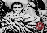 Standbild Stadtrand von San Juan San Juan Puerto Rico, 1935, aus Sekunde 3 historischem Filmmaterial Videoclip 65675052105