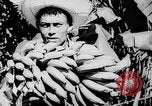 Standbild Stadtrand von San Juan San Juan Puerto Rico, 1935, aus Sekunde 4 historischem Filmmaterial Videoclip 65675052105