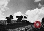 Standbild Stadtrand von San Juan San Juan Puerto Rico, 1935, aus Sekunde 17 historischem Filmmaterial Videoclip 65675052105