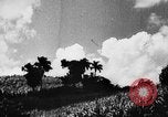 Standbild Stadtrand von San Juan San Juan Puerto Rico, 1935, aus Sekunde 20 historischem Filmmaterial Videoclip 65675052105
