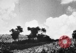 Standbild Stadtrand von San Juan San Juan Puerto Rico, 1935, aus Sekunde 21 historischem Filmmaterial Videoclip 65675052105