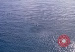 Image of helicopter SH-3A Mediterranean Sea, 1966, second 16 stock footage video 65675052124