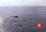 Image of helicopter SH-3A Mediterranean Sea, 1966, second 30 stock footage video 65675052124