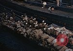Standbild japanische I-400 U-Boote und Schlachtschiff Nagato Yokosuka in Japan Yokosuka in Japan, 1945, aus Sekunde 31 historischem Filmmaterial Videoclip 65675052131