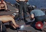 Image of USS Randolph Pacific Ocean, 1945, second 31 stock footage video 65675052151