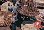 Image of ammunition ship Pacific Ocean, 1945, second 47 stock footage video 65675052155