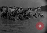 Image of bridge building across Naktong River Korea, 1950, second 32 stock footage video 65675052161