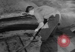 Standbild B-26 Flugzeuge Bombenangriffe im koreanischen Krieg Seoul Korea, 1950, aus Sekunde 52 historischem Filmmaterial Videoclip 65675052165