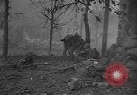 Image of Marines recapturing territory Seoul Korea, 1950, second 44 stock footage video 65675052170
