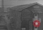 Immagine di Typhoon hits United States Army Base Sakai Giappone, 1950, secondo 26 filmato di repertorio 65675052173