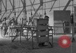 Immagine di LZ-129 Hindenburg Friedrichshafen Germania, 1931, secondo 57 filmato di repertorio 65675052194