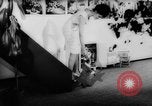 Image of pet monkey Germany, 1962, second 5 stock footage video 65675052199