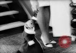 Image of pet monkey Germany, 1962, second 6 stock footage video 65675052199