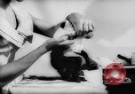 Image of pet monkey Germany, 1962, second 14 stock footage video 65675052199