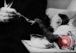 Image of pet monkey Germany, 1962, second 20 stock footage video 65675052199