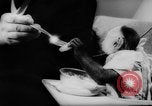 Image of pet monkey Germany, 1962, second 21 stock footage video 65675052199